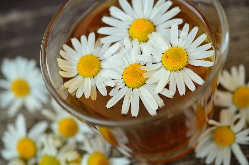 Nature Therapy Ideas
