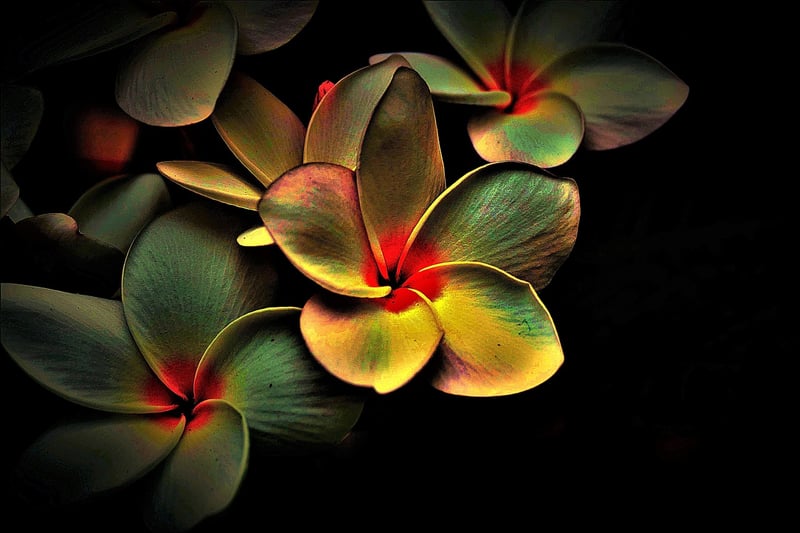 Flowing Meditation Image